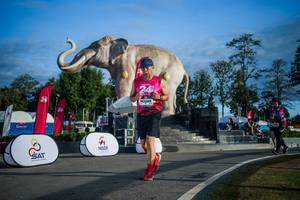 BIB: 
                            <button type="button" onclick="openModal(26541749)" class="btn btn-primary btn-sm float-right btn-popup" data-toggle="modal" data-target=".modal-high-quality">
                        <i class="fas fa-shopping-cart"></i> Add to Cart
                    </button>
                                            <button type="button" onclick="isThisMe(26541749, true)" class="btn btn-success btn-sm float-right btn-popup btn-isme hidden" data-toggle="tooltip" data-placement="bottom" title="นี่คือรูปของคุณใช่ไหม คลิกที่นี่เพื่อเอาเข้าอัลบั้ม">
                        <i class="fas fa-plus"></i> Add to album
                    </button>
                    <button type="button" onclick="isThisMe(26541749, false)" class="btn btn-warning btn-sm float-right btn-popup btn-isnotme hidden">
                        <i class="fas fa-ban"></i> Remove from album
                    </button>